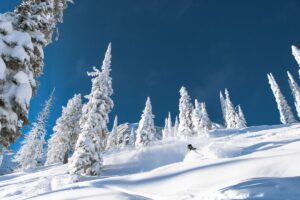 Fernie Slopeside Lodge