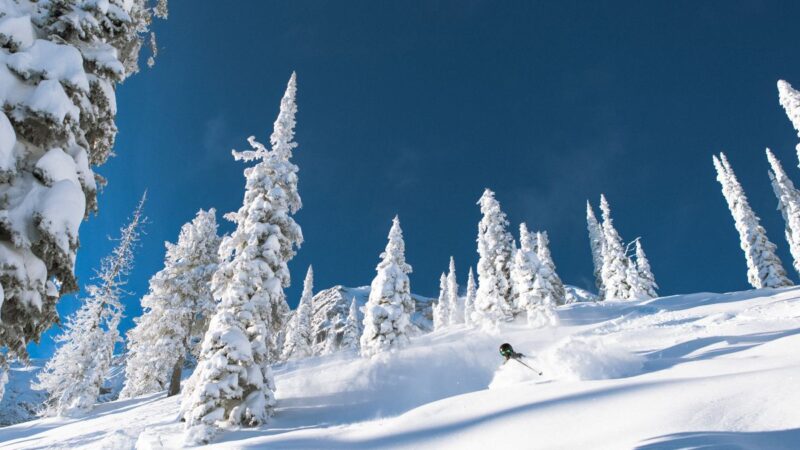 Fernie Slopeside Lodge